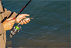 Bild zeigt Hände eines Anglers (Fischers), er hält eine Angelrute mit einem Köderfisch