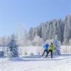 zwei Langläufer (Mann und Frau) in tief verschneiter Winterlandschaft