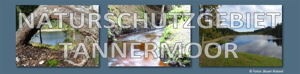 Header mit 3 Fotos vom Tannermoor und Rubenerteich mit Überschrift: Naturschutzgebiet Tannermoor