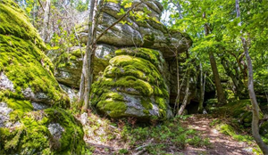 'Fuchsn-Lucka' - eine Steinformation am Koblberg in Liebenau