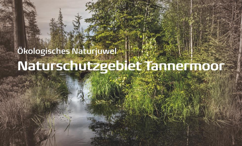 Hintergrundbild Tannermoor mit Text: Ökologisches Naturjuwel Naturschutzgebiet Tannermoor